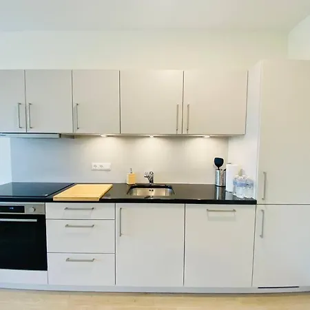 New 2023 One Bedroom Flat W Free Parking Apartment *